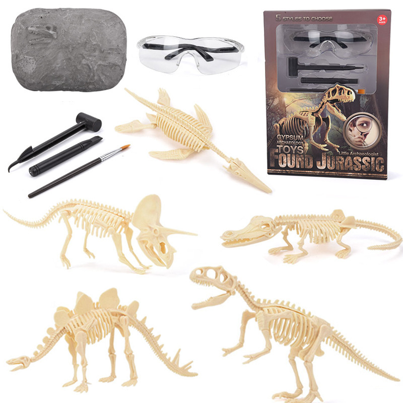 Zestaw do wykopalisk fosiliów  – Model Kit Dinosaur recenzja i cena