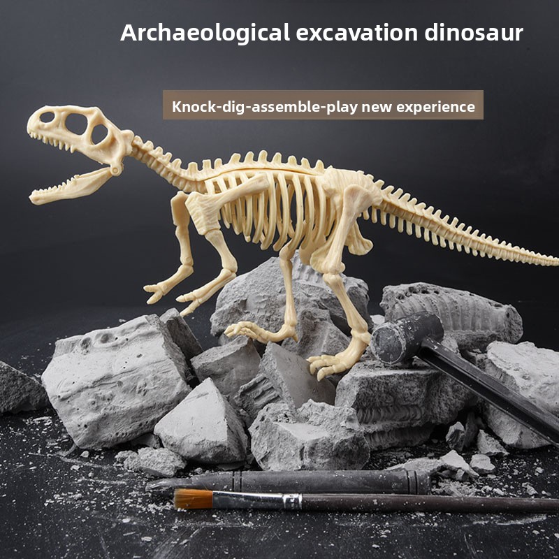 Zestaw do wykopalisk fosiliów  – Model Kit Dinosaur recenzja i cena